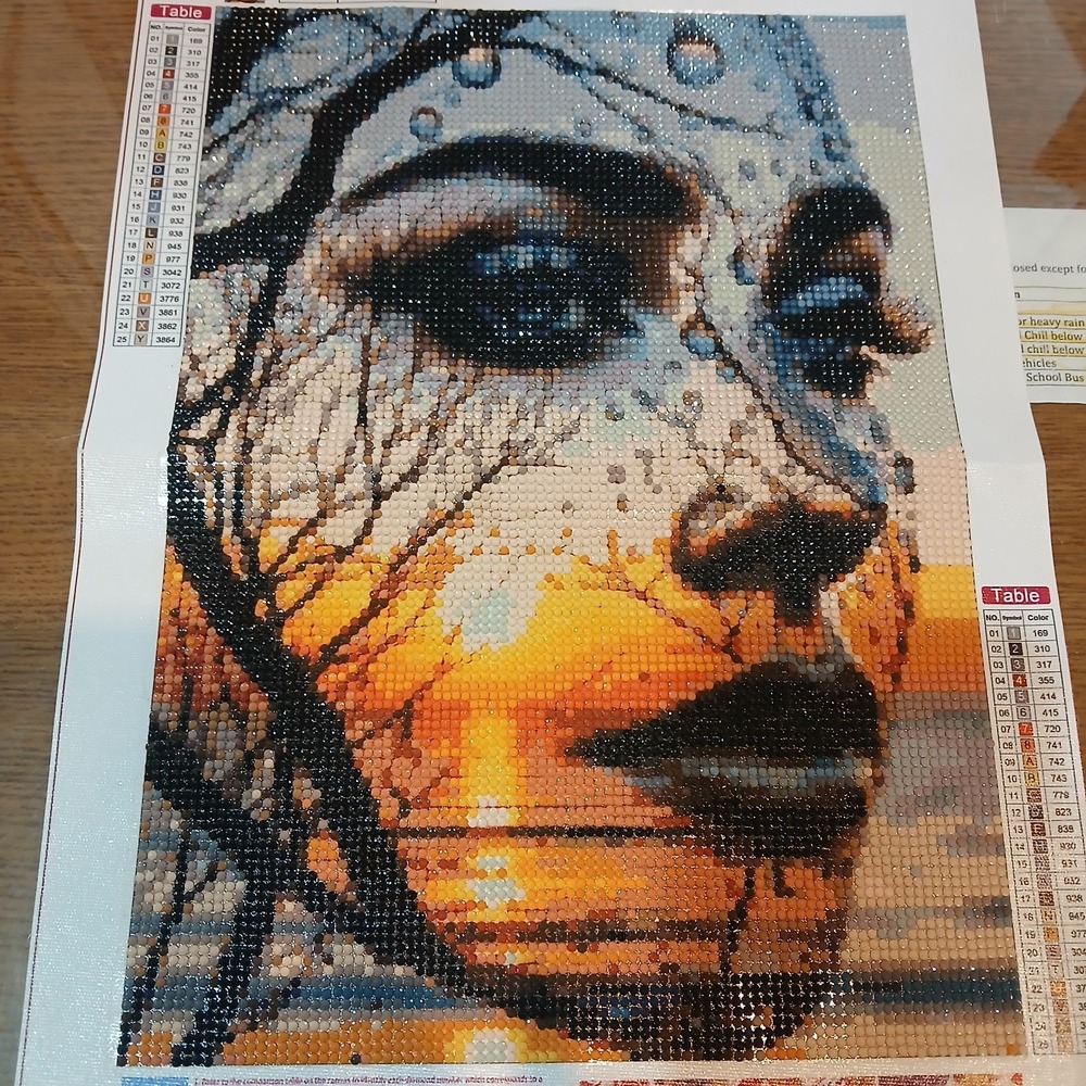 Diamond Art Painting Completed Finished Women On A Sunset 30x40CM - Picture 2 of 2